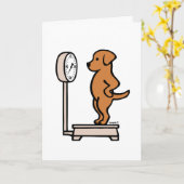 Fox Red Labrador auf der Skala Karte (Gelbe Blume)