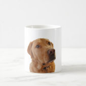 Fox Red Labrador Cup Kaffeetasse (Mittel)