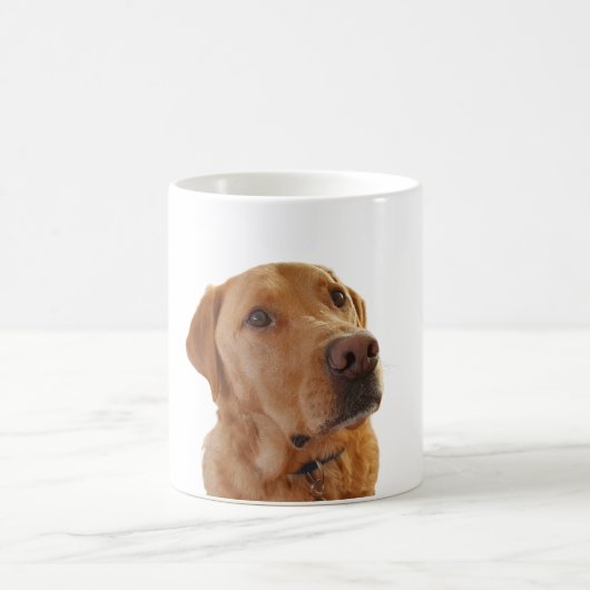 Fox Red Labrador Cup Kaffeetasse (Mittel)