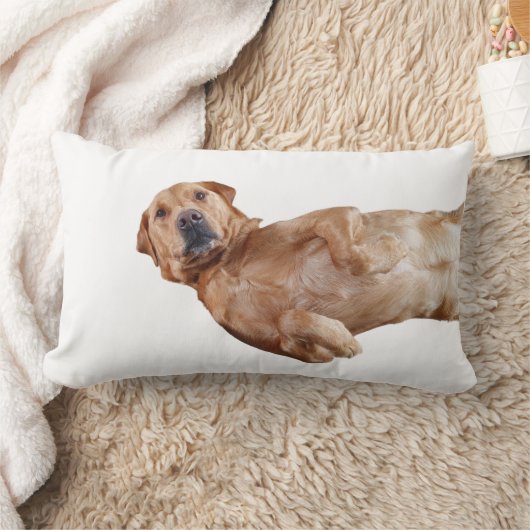 Fox Red Labrador Pillow Lendenkissen (Decke)
