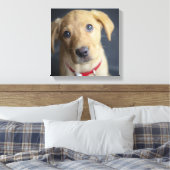 Fox Red Labrador Puppy Leinwanddruck (Insitu (Schlafzimmer))