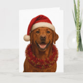 Fox red Labrador Retriever Christmas card Karte (Vorderseite)