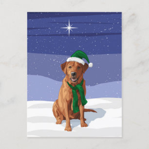 Fox Red Labrador Retriever Christmas Dog Postkarte