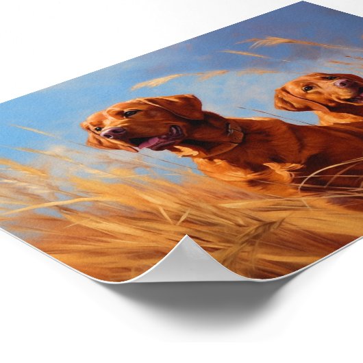 Fox Red Labrador Retrievers Poster (Ecke)