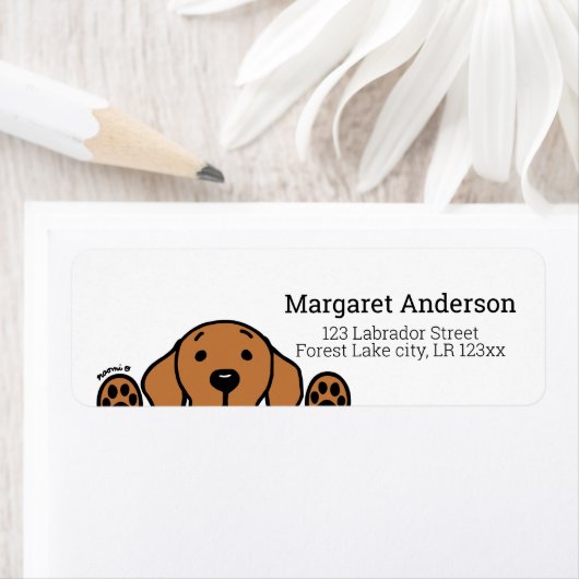 Fox Red Labrador Watching Rücksendeadresse (Insitu)