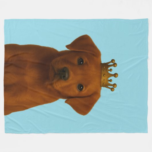 Fox Red Labrador Welpe in Gold Crown Niedlich Fleecedecke (Vorderseite (Horizontal))