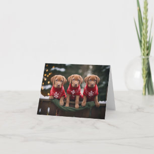 Fox Red Labrador Welppies Christmas Card Karte