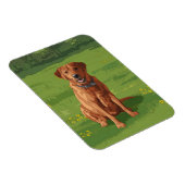 Fox Red Yellow Labrador Retriever Dog Magnet (Rechte Seite)