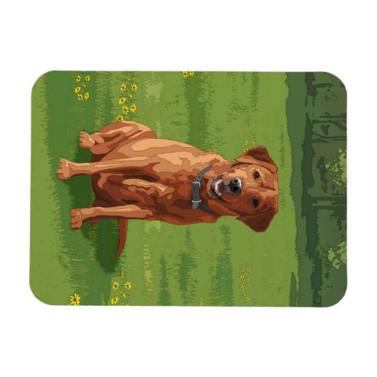 Fox Red Yellow Labrador Retriever Dog Magnet (Horizontal)