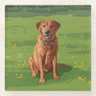 Fox Red Yellow Labrador Retriever Hund Glasuntersetzer