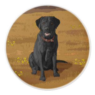 Fox Red Yellow Labrador Retriever Hund Keramikknauf