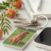 Fox Red Yellow Labrador Retriever Hund Schlüsselanhänger (Vorderseite rechts)