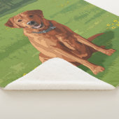 Fox Red Yellow Labrador Retriever Hund Sherpadecke (3/4)