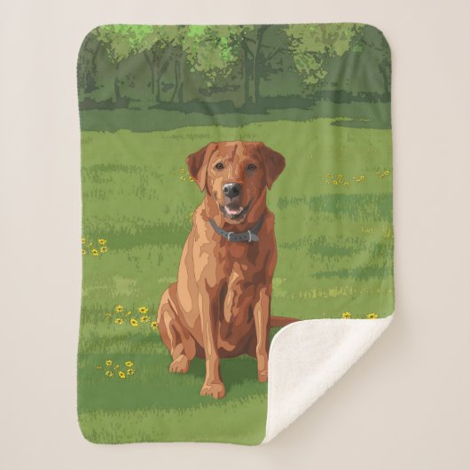 Fox Red Yellow Labrador Retriever Hund Sherpadecke (Vorderseite)