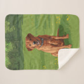Fox Red Yellow Labrador Retriever Hund Sherpadecke (Vorderseite (Horizontal))