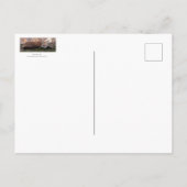 Fox-Ruhen auf Moss Postkarte (Rückseite)