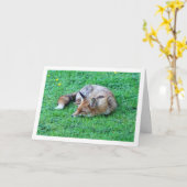 Fox Sleeping auf Gras Karte (Gelbe Blume)
