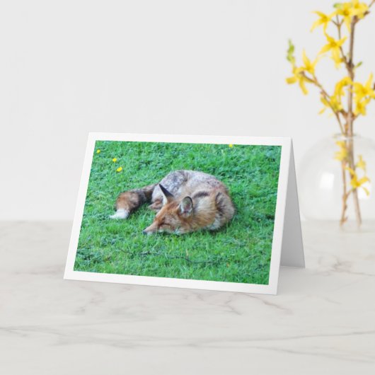 Fox Sleeping auf Gras Karte (Gelbe Blume)