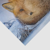 Fox Sleeping Snow Foto Seidenpapier (Ausschnitt)