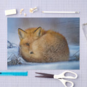 Fox Sleeping Snow Foto Seidenpapier (Handwerk)