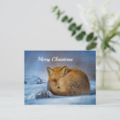 Fox Sleeping Snow Foto Weihnachten Postkarte (Stehend Vorderseite)