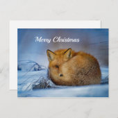 Fox Sleeping Snow Foto Weihnachten Postkarte (Vorne/Hinten)