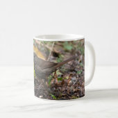 Fox Sparrow Kaffeetasse (VorderseiteRechts)