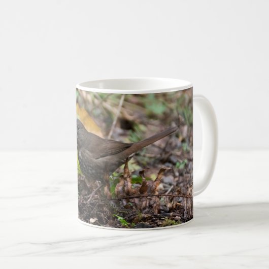 Fox Sparrow Kaffeetasse (VorderseiteRechts)