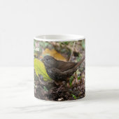 Fox Sparrow Kaffeetasse (Mittel)