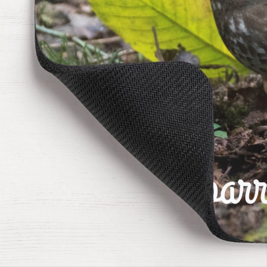 Fox Sparrow Mousepad (Ecke)