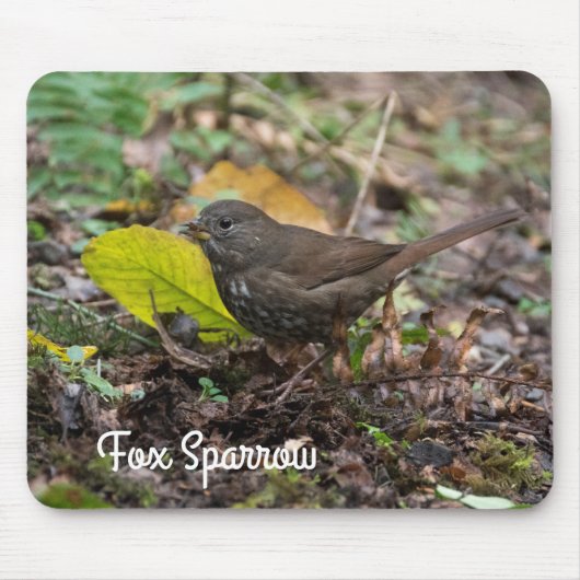 Fox Sparrow Mousepad (Vorne)