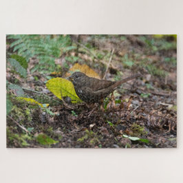 Fox Sparrow Puzzle
