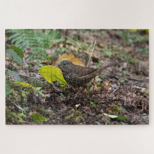 Fox Sparrow Puzzle (Horizontal)