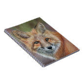 Fox-Spiralband Notizblock (Rechte Seite)