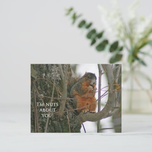 Fox Squirrel - I'm Nuts about You! Postkarte (Stehend Vorderseite)