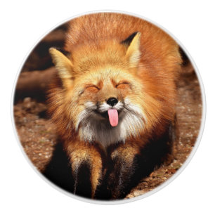 Fox Sticking Es ist Zunge-Out Keramikknauf