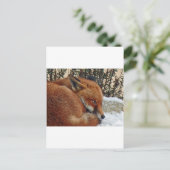 Fox-Tagesträumen Postkarte (Stehend Vorderseite)