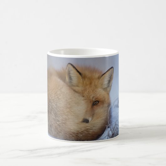 Fox-Tasse, foxy Tasse, Füchse, Natur, wild lebende Kaffeetasse (Mittel)