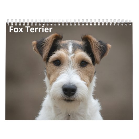 Fox Terrier 2027 Wandkalender (Titelbild)