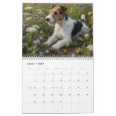 Fox Terrier 2027 Wandkalender (Mär 2027)