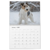 Fox Terrier 2027 Wandkalender (Jan 2027)