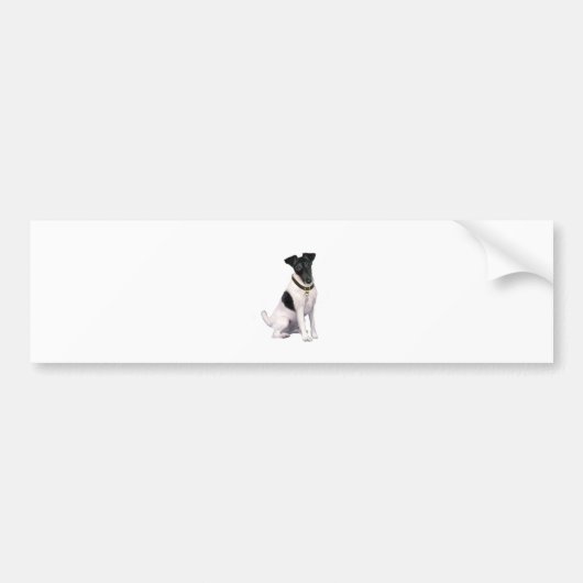 Fox Terrier (A) - glatt - schwarz-weiß Autoaufkleber (Vorne)