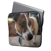 Fox Terrier Attraction,_ Laptopschutzhülle (Vorderseite Links)
