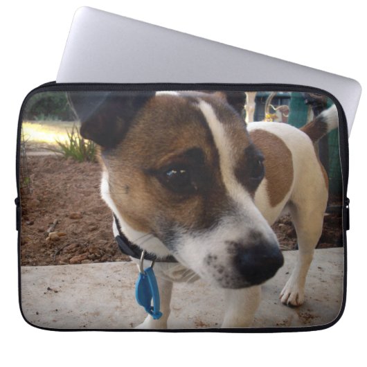 Fox Terrier Attraction,_ Laptopschutzhülle (Vorderseite)