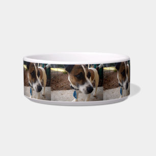 Fox Terrier Attraktion Kleine Keramik Haustier Napf