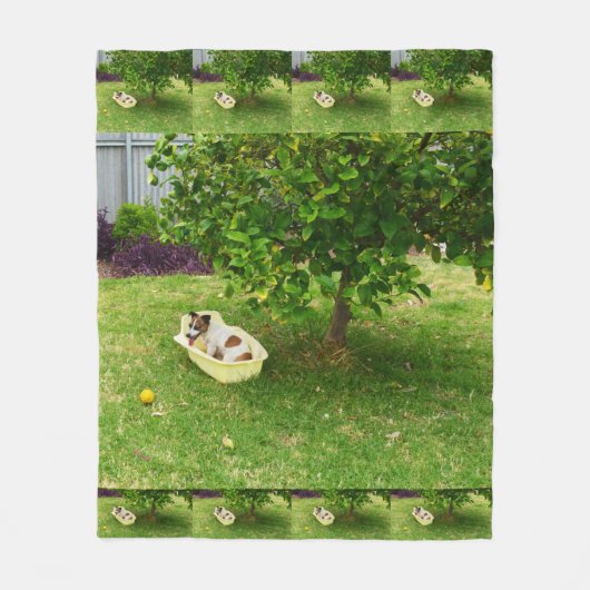 Fox Terrier Bathtime, Medium Fleece Blanket (Vorderseite)