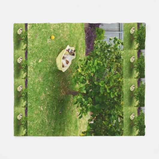 Fox Terrier Bathtime, Medium Fleece Blanket (Vorderseite (Horizontal))