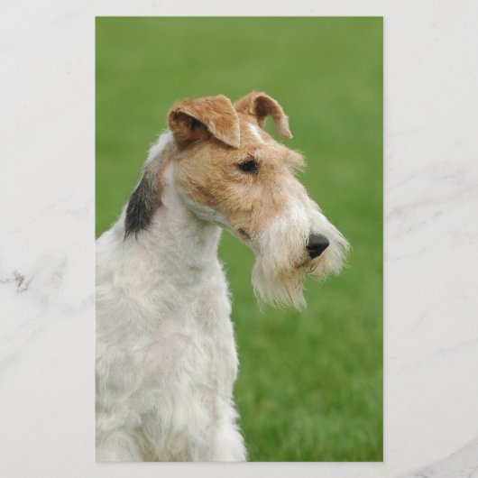 Fox Terrier Briefpapier (Vorderseite)