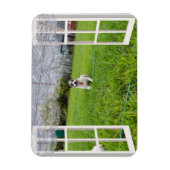 Fox Terrier Come Play, flexible Magnet (Vertikal)