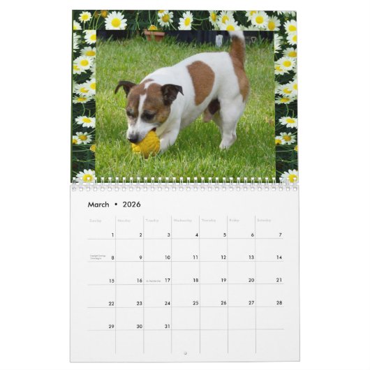 Fox Terrier Come Play, Kalender (Mär 2026)